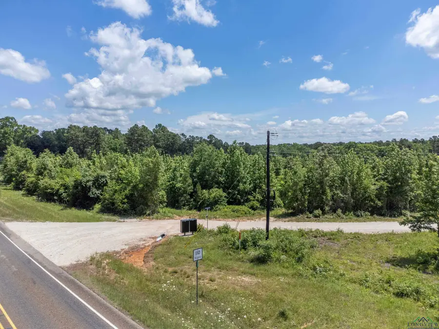 172 George Blvd., Rusk, TX 75785 - #2