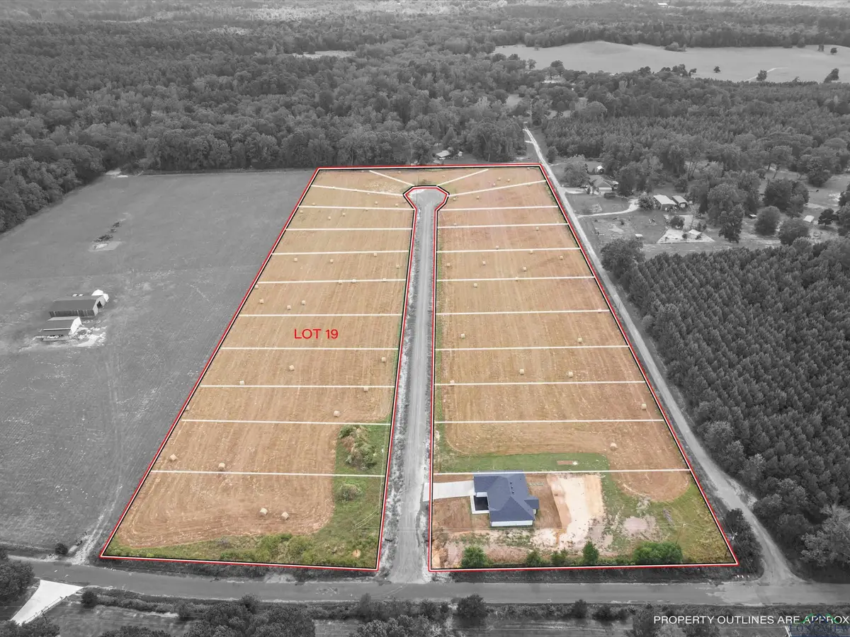 TBD Lot 19 PR 3168, Gilmer, TX 75645 - #1