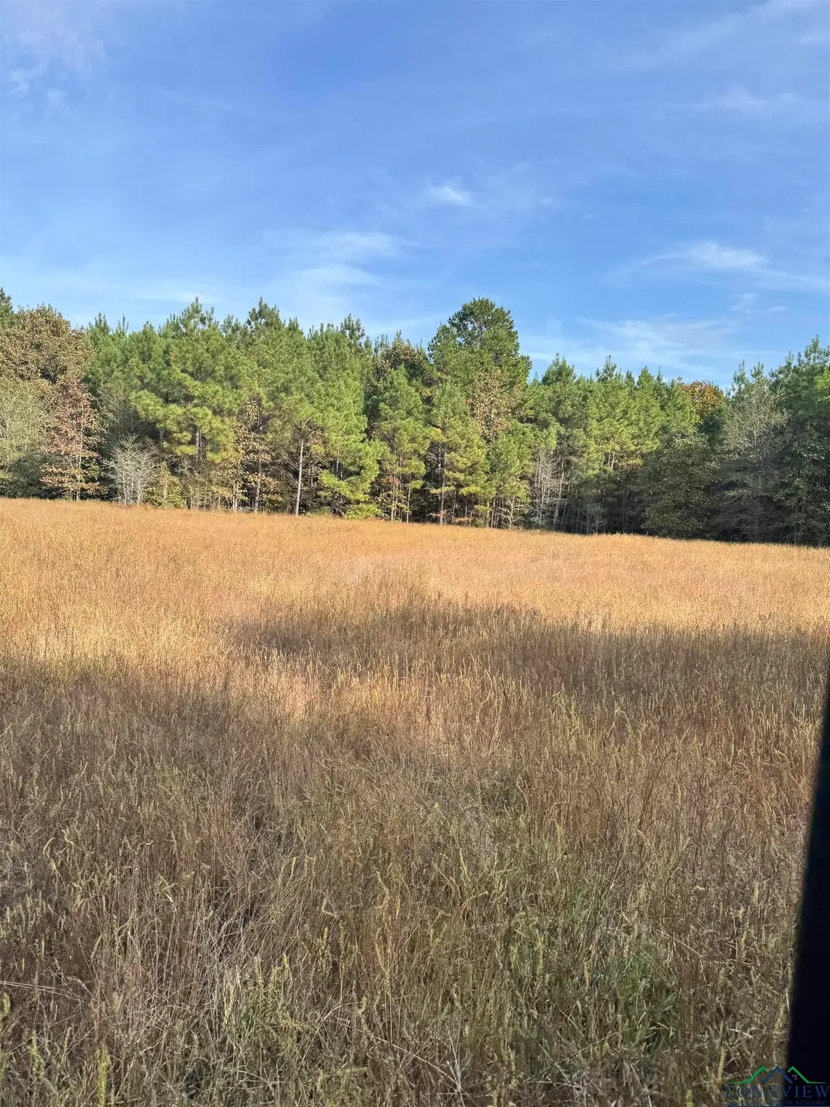 TBD S 476, Henderson, TX 75654 - Image #1