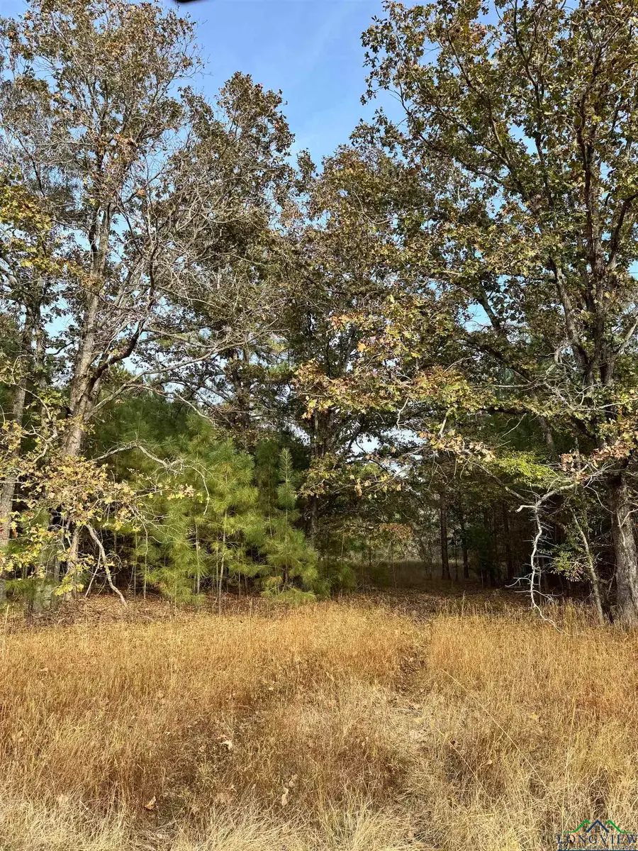 TBD S 476, Henderson, TX 75654 - Image #3