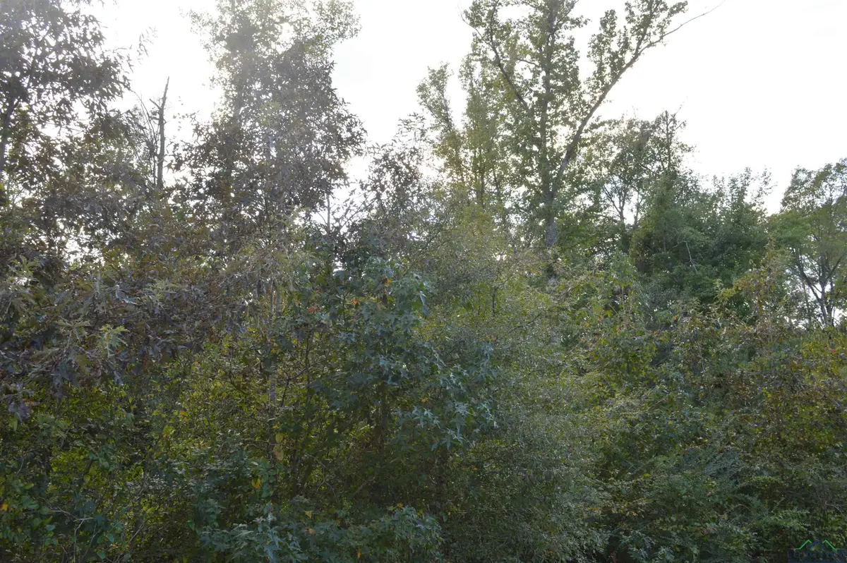 TBD HWTY 49, Jefferson, TX 75657 - Image #1