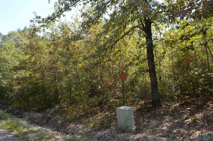TBD Sarber Rd, Jefferson, TX 75657 - Image #3