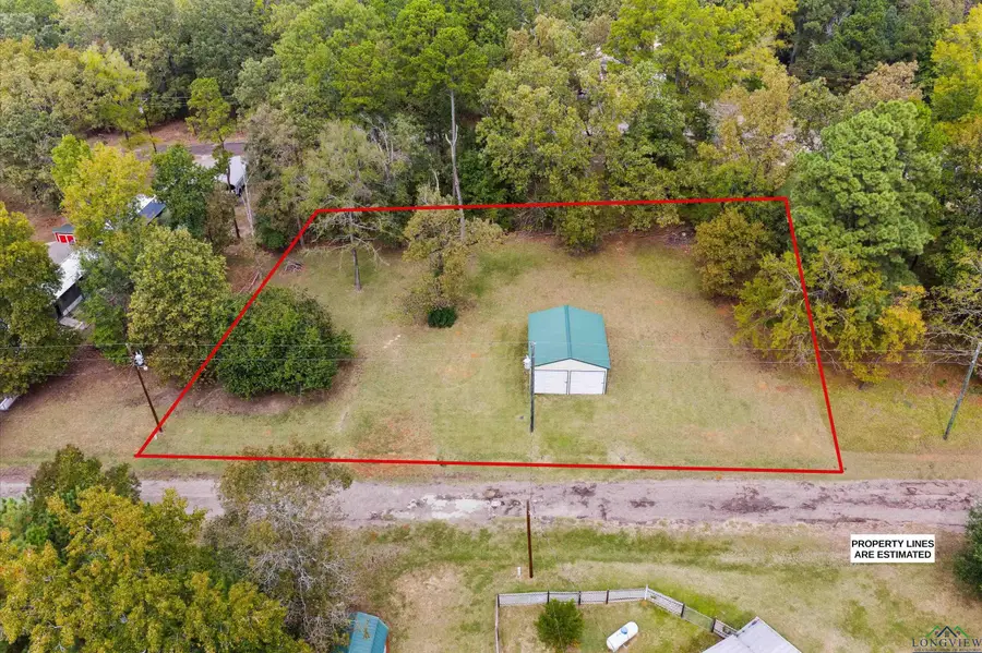 177 Sandlewood Loop, Avinger, TX 75630 - Image #3