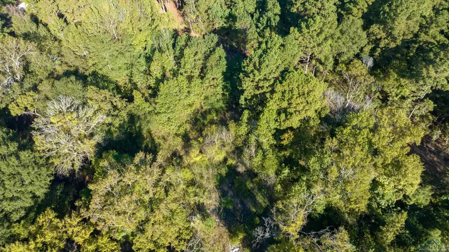 TBS CR 292, Kilgore, TX 75662 - Image #3