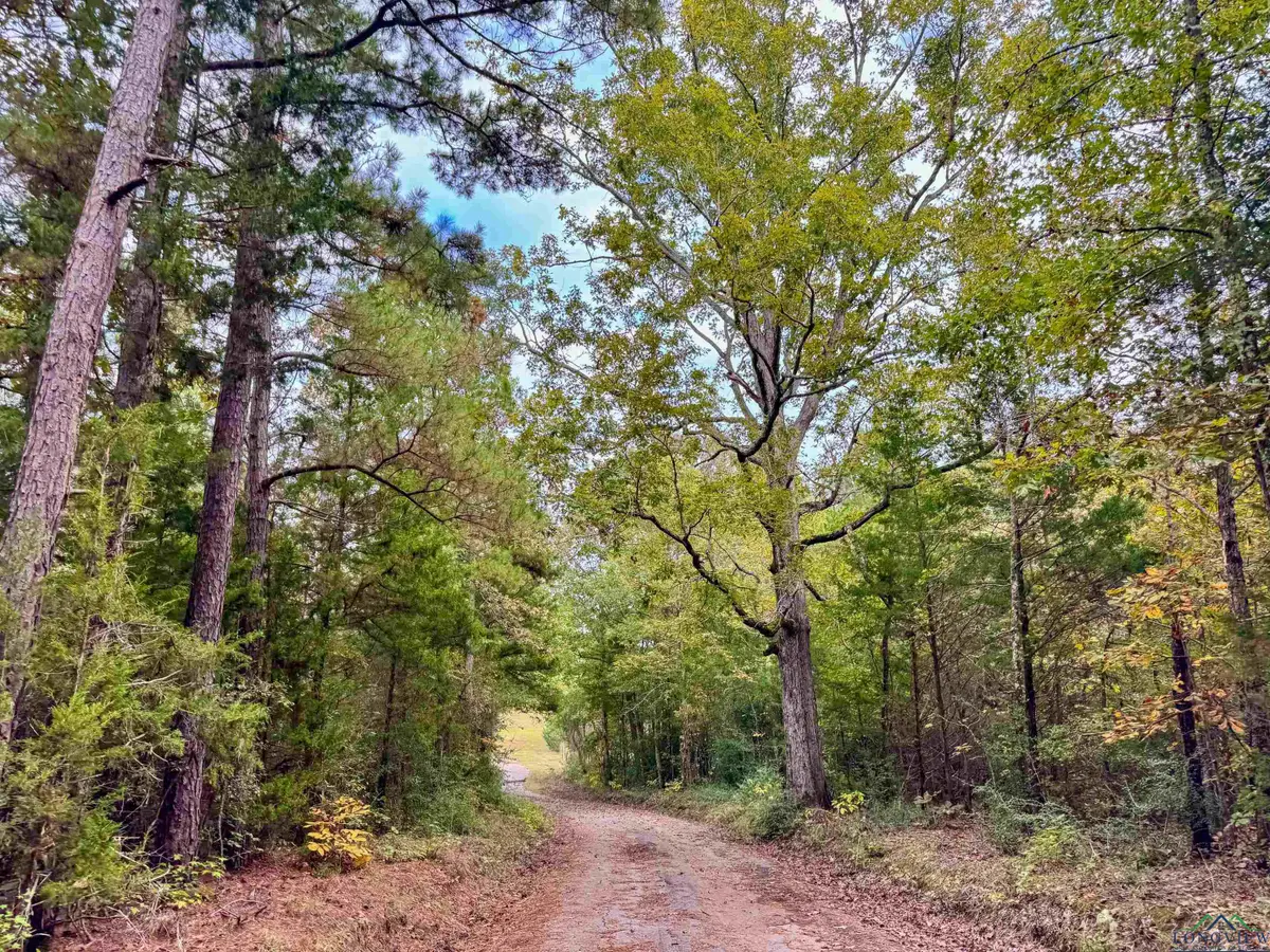 000 County Road 2367, Marietta, TX 75566 - Image #1