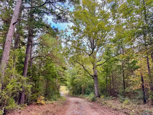 000 County Road 2367, Marietta, TX 75566