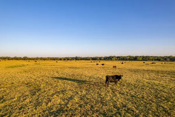 5081 Hwy 154, Yantis, TX 75497