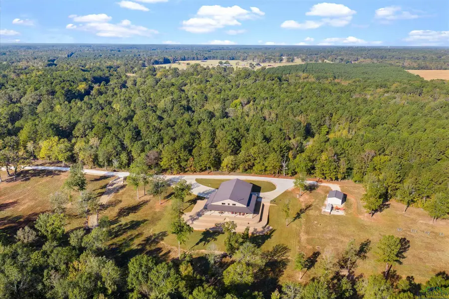 6161 County Road 291, Kilgore, TX 75662 - #3