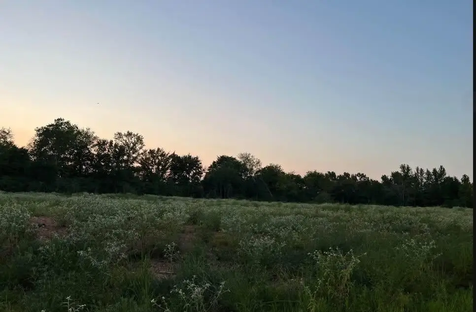 TBD FM 42, Price Turnertown, TX 75687-0000 - Image #1