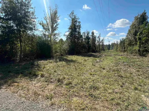 TBD FM 124, Beckville, TX 75631