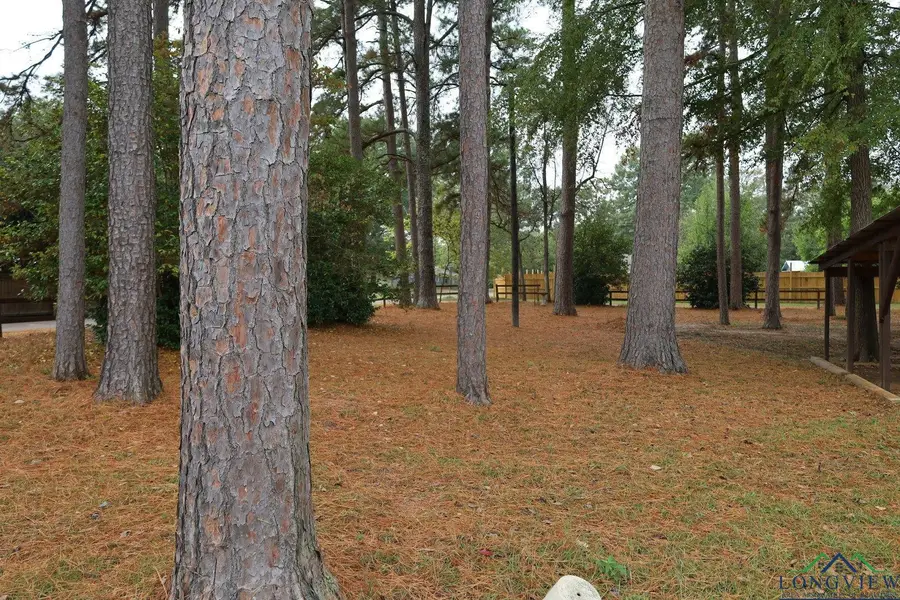 110 Linda St, Jefferson, TX 75657 - Image #2