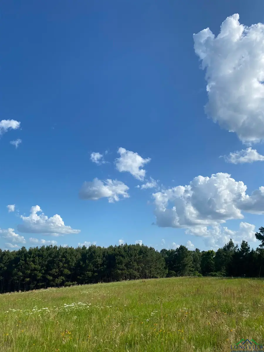 2685 Hawk Rd, Diana, TX 75640 - Image #2