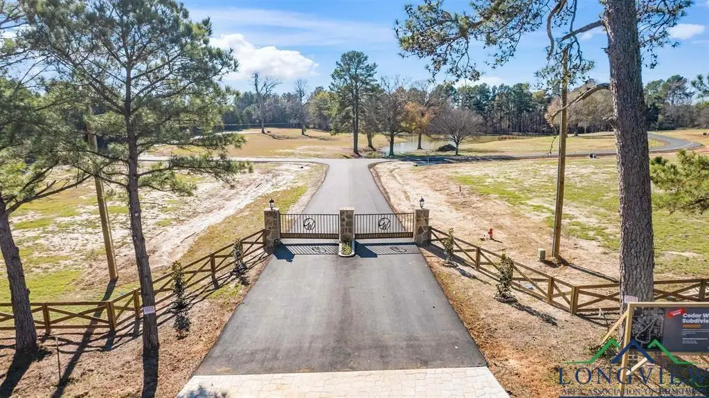 LOT 1 CEDARWOODS, Diana, TX 75640 - Image #1