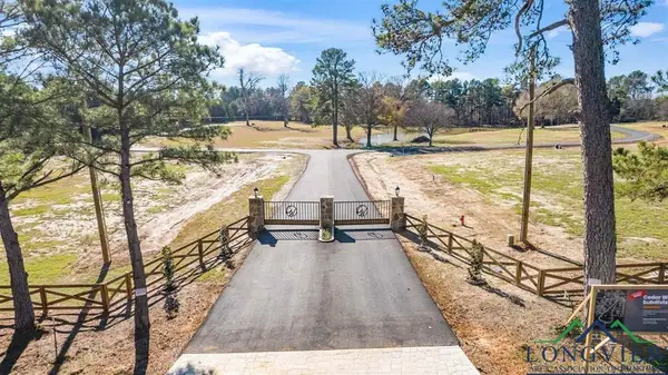 LOT 1 CEDARWOODS, Diana, TX 75640