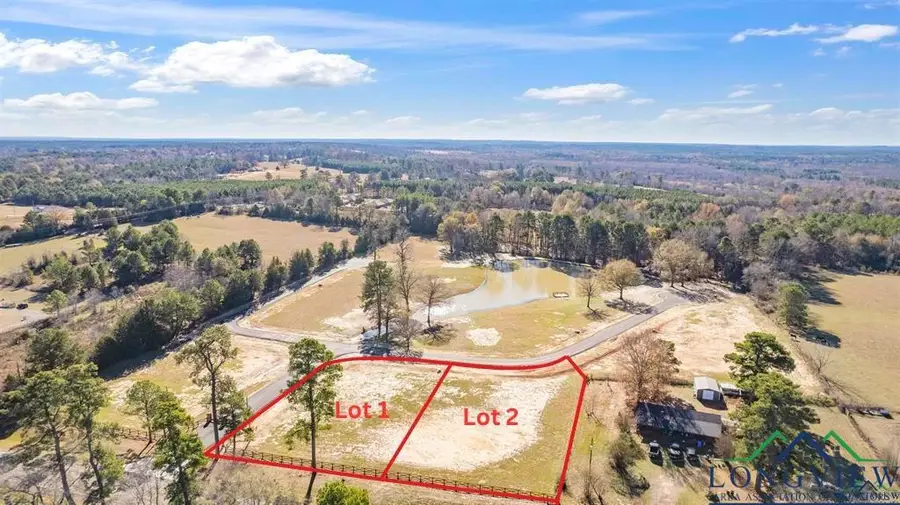 LOT 2 CEDARWOODS, Diana, TX 75640 - Image #2