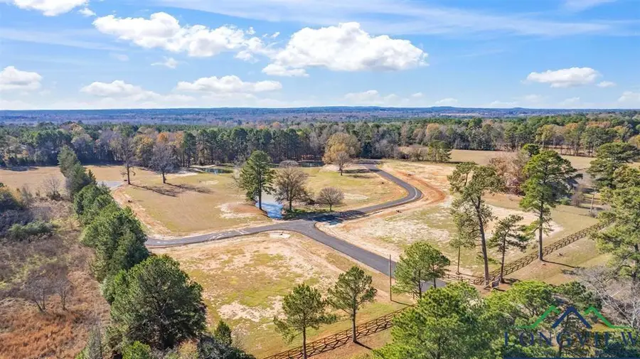 LOT 2 CEDARWOODS, Diana, TX 75640 - Image #3