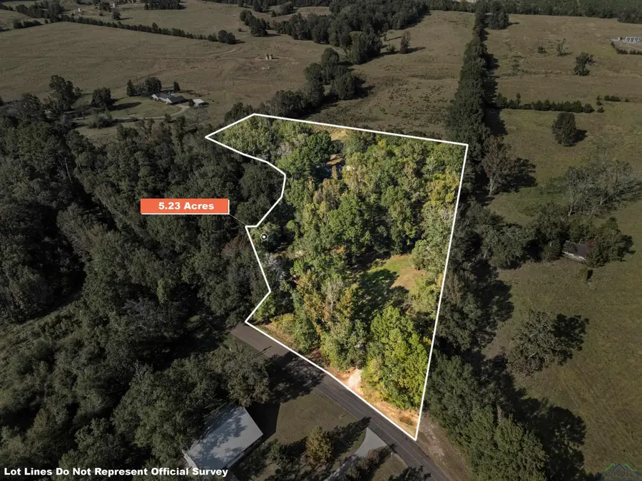 9997 County Road 317 S, Henderson, TX 75654 - Image #3