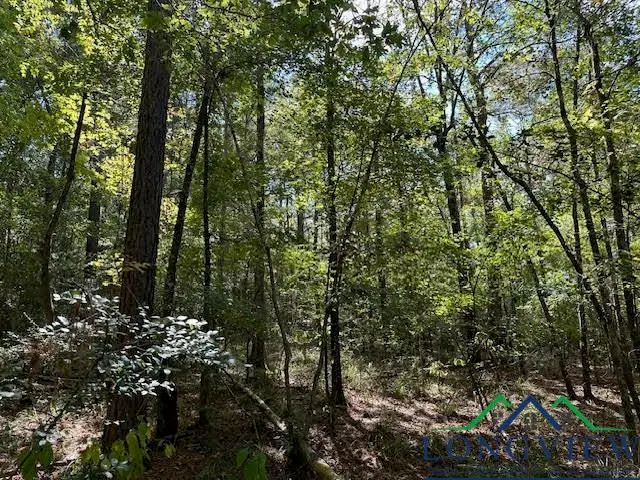 Tbd County Road 4682, Carthage, TX 75633 - Image #3