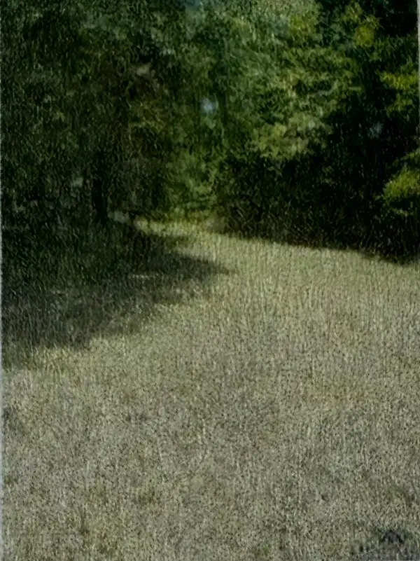 TBD 2nd Street, Avinger, TX 75630