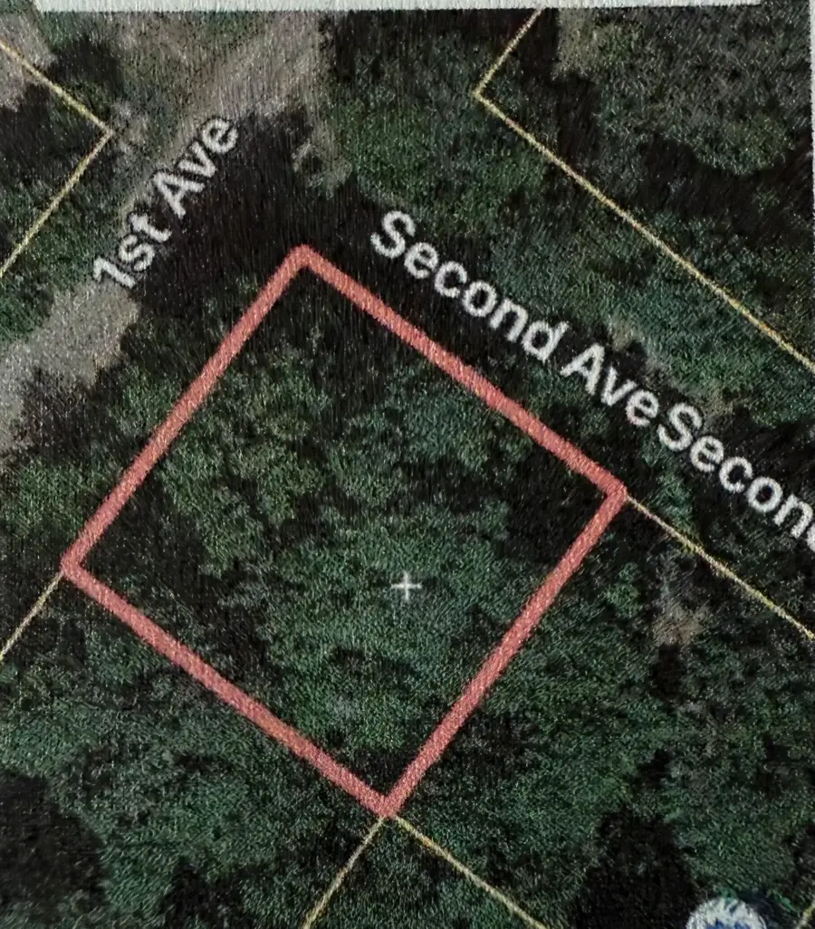 TBD 2nd Street, Avinger, TX 75630 - Image #2