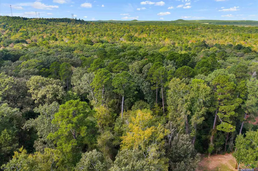 TBD Holly St, Ore City, TX 75683 - Image #2