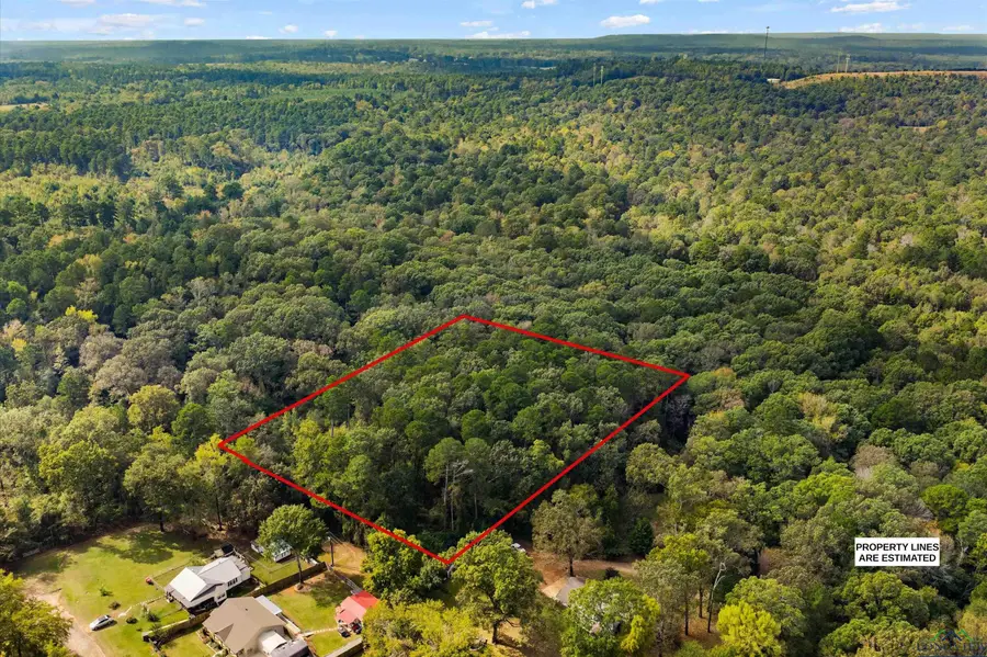 TBD Holly St, Ore City, TX 75683 - Image #3