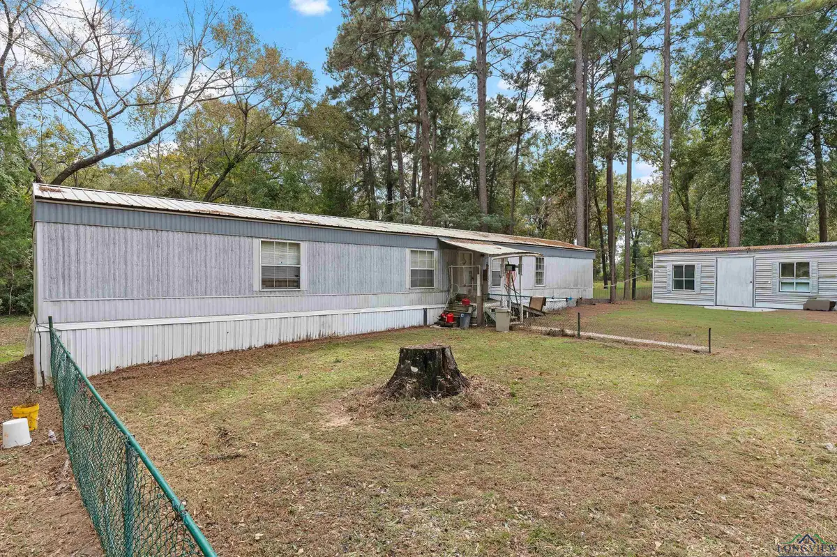 385 County Rd 191, Gary City, TX 75643 - Image #1