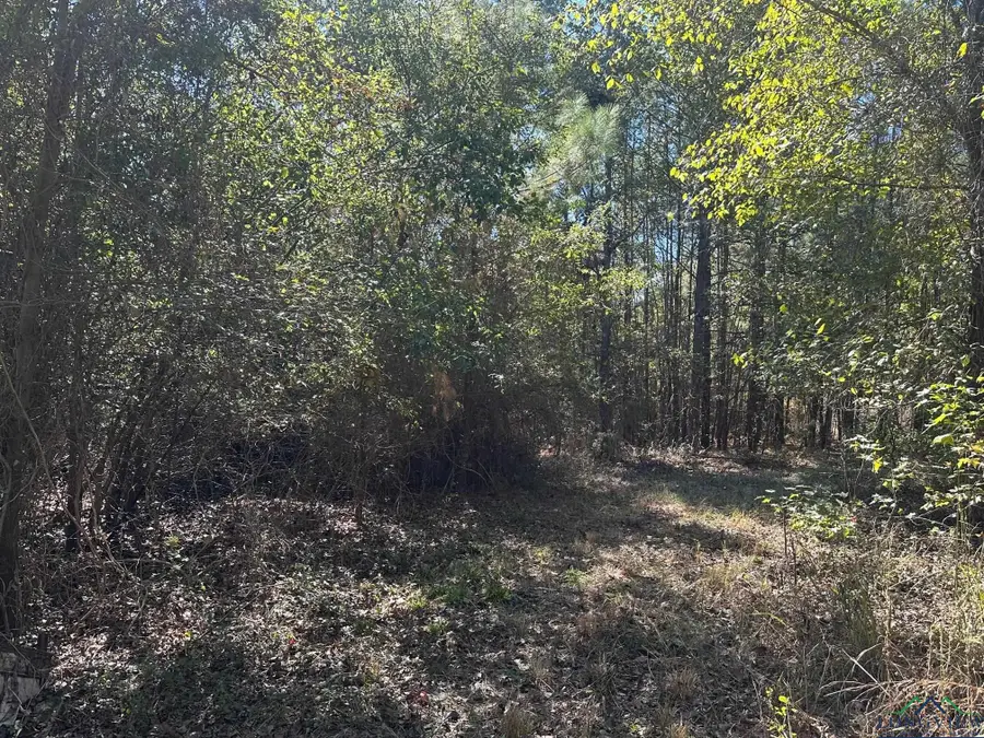 TBD CR 167 D, Kilgore, TX 75662 - Image #2