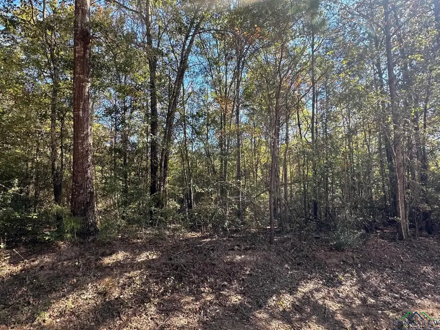 TBD CR 167 D, Kilgore, TX 75662 - Image #3