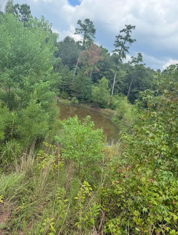 12543 N FM 225, Cushing, TX 75760