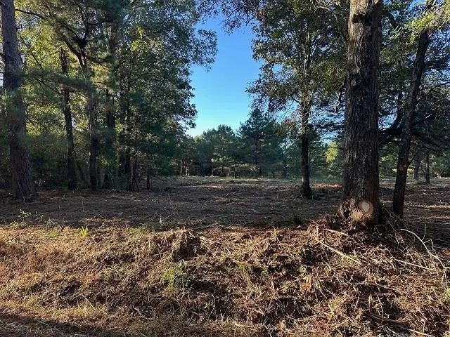 TBD CR 1552, Long Branch, TX 75669 - Image #1