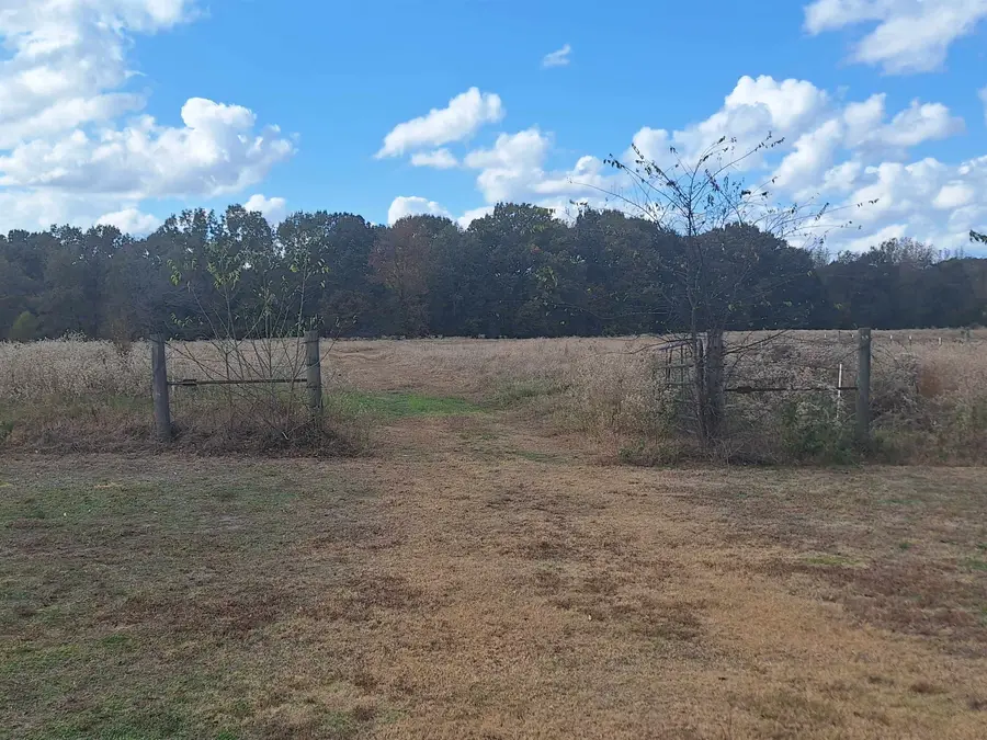 TBD CR 3070, Cookville, TX 75558 - Image #3