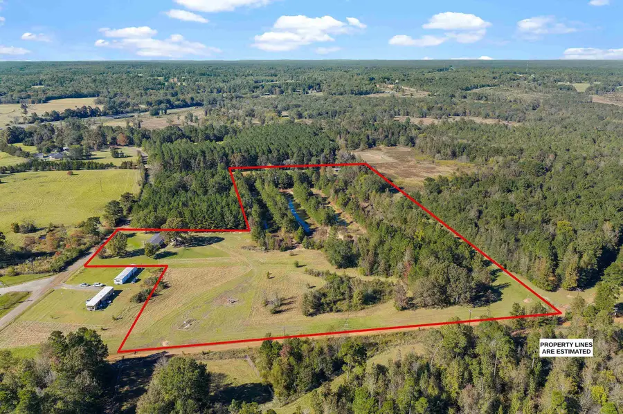 303 CR 306, Beckville, TX 75631 - Image #2