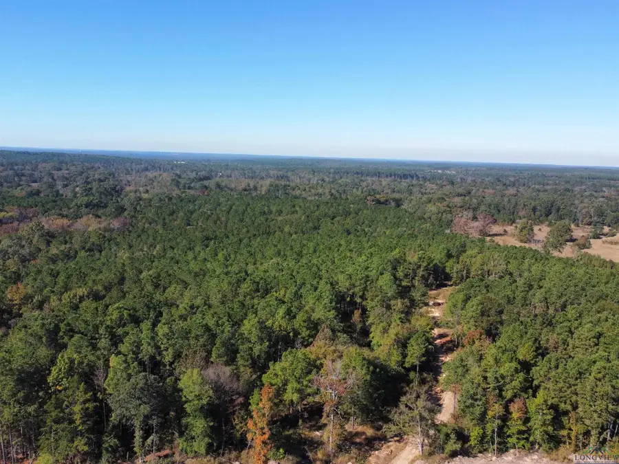 781 Sand Country Road, Jefferson, TX 75657 - Image #2