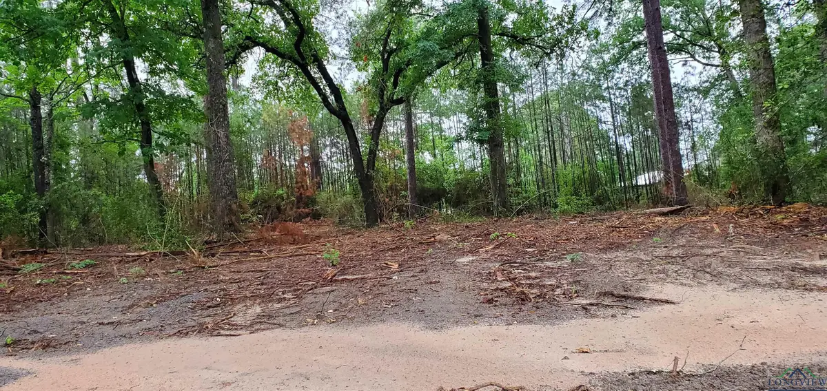 TBD CR 336, Jasper, TX 75951 - Image #1