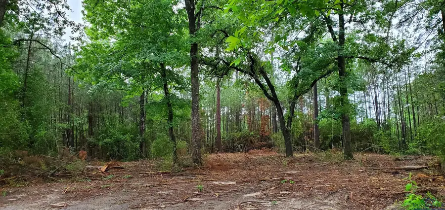 TBD CR 336, Jasper, TX 75951 - Image #3