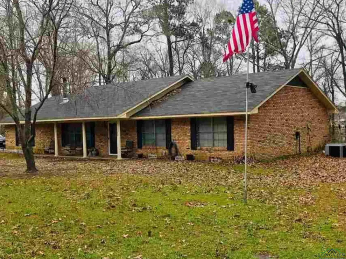 1586 HANDY RD, Diana, TX 75640 - Image #1