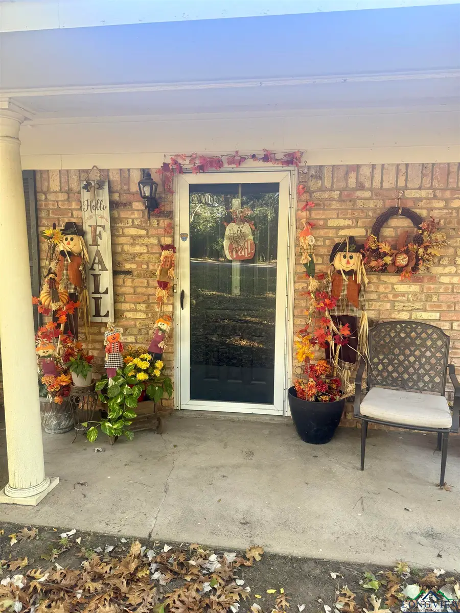 1586 HANDY RD, Diana, TX 75640 - Image #3