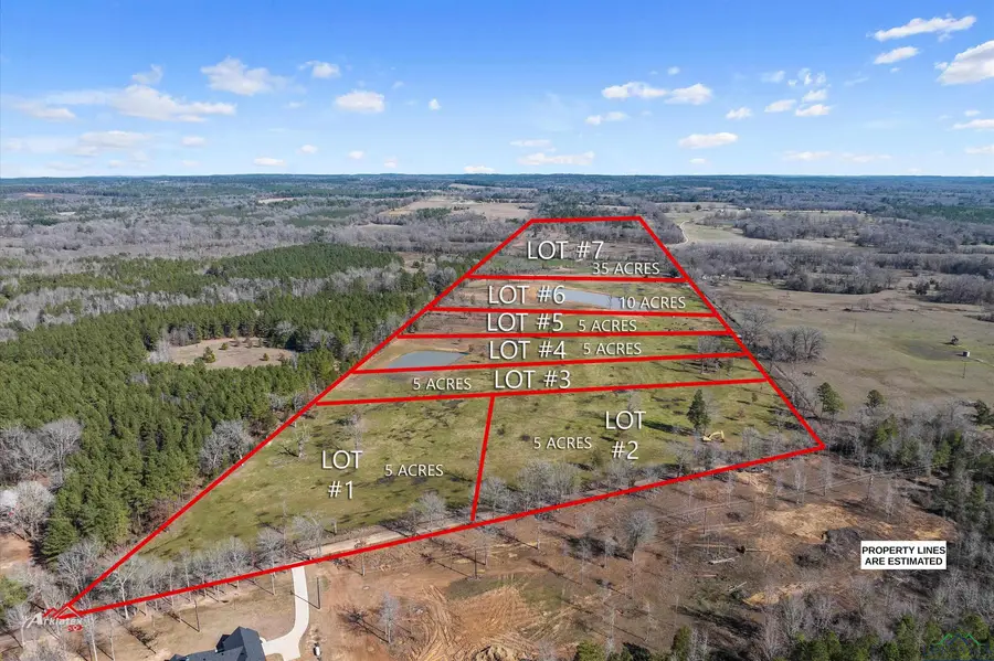 Lot 7 TBD CR 379, Laneville, TX 75667 - Image #2