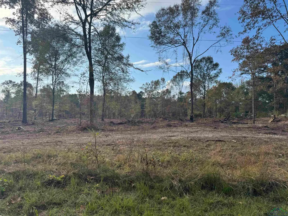 Lot 1 TBD CR 4108, Henderson, TX 75652 - Image #1