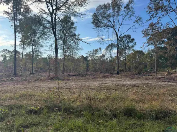 Lot 1 TBD CR 4108, Henderson, TX 75652