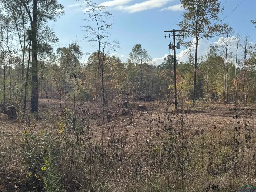 Lot 1 TBD CR 4108, Henderson, TX 75652 - Image #3