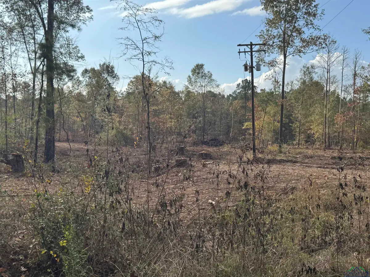 Lot 2 TBD CR 4108, Henderson, TX 75654 - Image #1