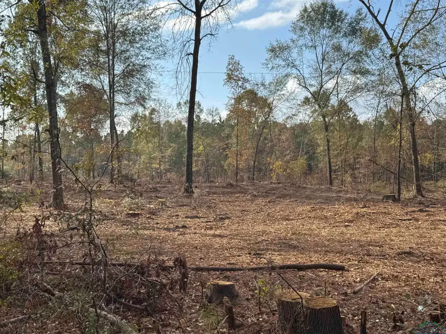 Lot 2 TBD CR 4108, Henderson, TX 75654 - Image #2