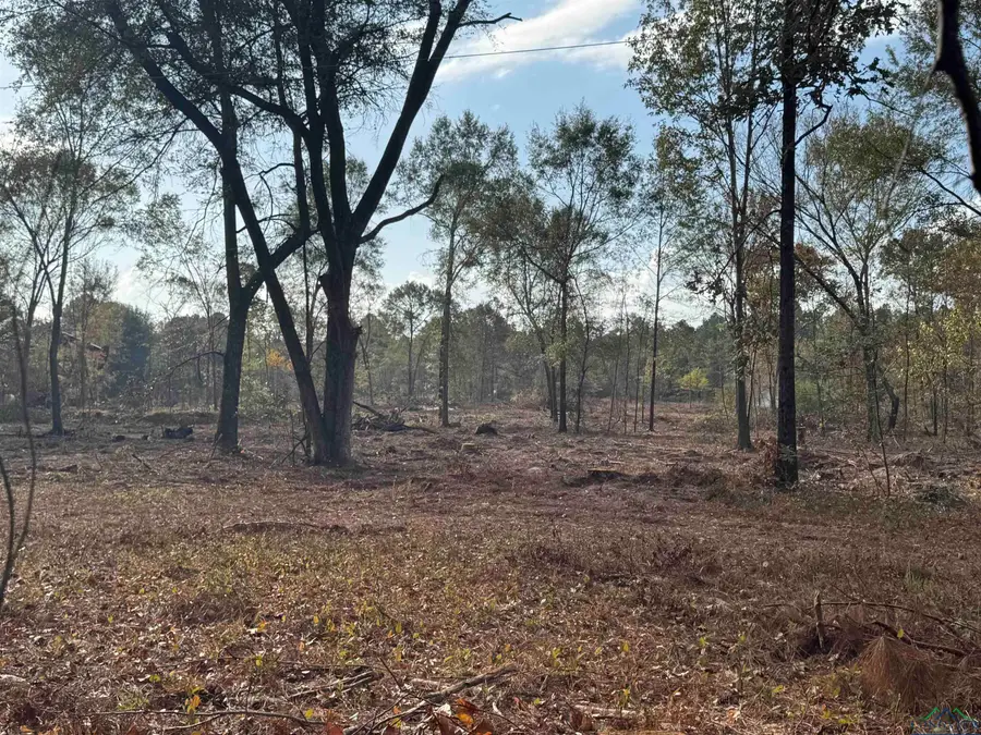 Lot 2 TBD CR 4108, Henderson, TX 75654 - Image #3