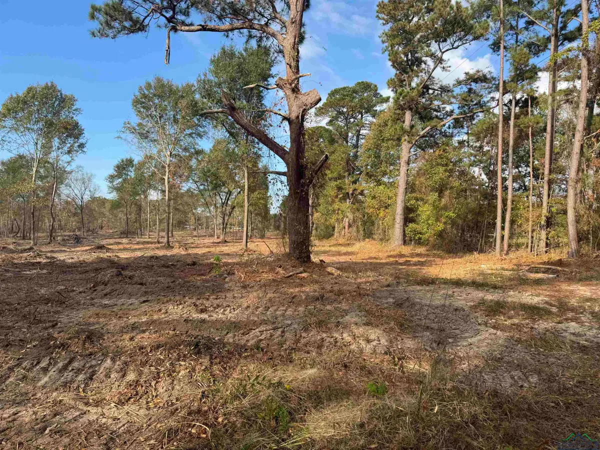 Lot 3 TBD CR 4108, Henderson, TX 75654 - Image #1