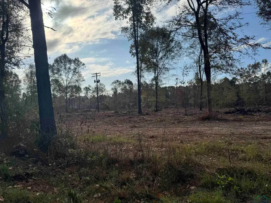 Lot 4 TBD CR 4108, Henderson, TX 75654 - Image #3