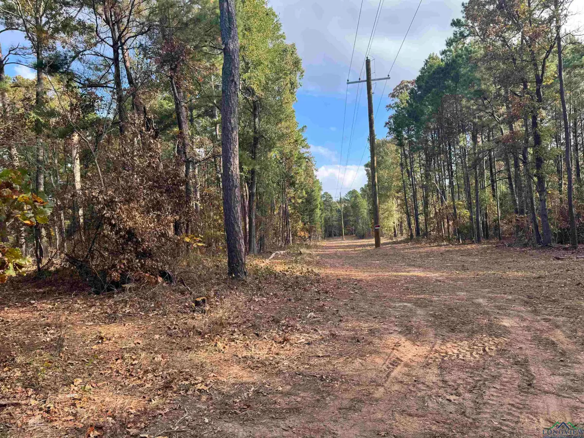 LOT 6 TBD CR 4111, Henderson, TX 75654 - Image #1