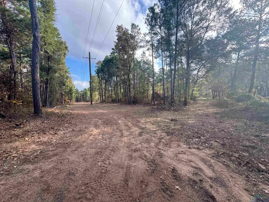 LOT 6 TBD CR 4111, Henderson, TX 75654 - Image #2