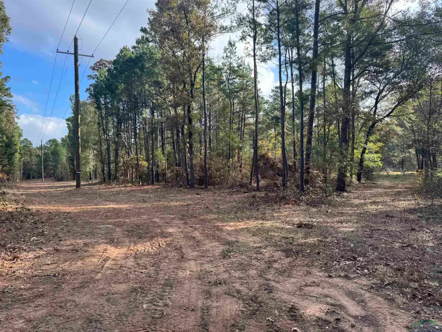 LOT 6 TBD CR 4111, Henderson, TX 75654 - Image #3